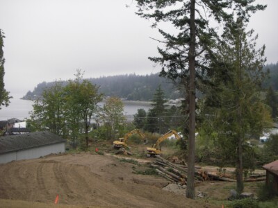 Land Clearing Bainbridge Island, WA