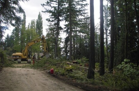 excavation services near Bainbridge Island, WA