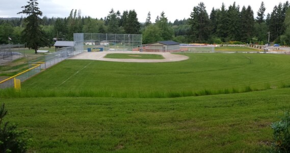 Land Clearing Contractor Poulsbo, WA